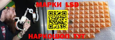 ГАЛЛЮЦИНОГЕННЫЕ ГРИБЫ Кулебаки