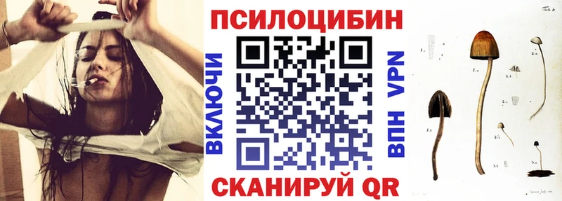 где найти   Серов  Галлюциногенные грибы Psilocybine cubensis 