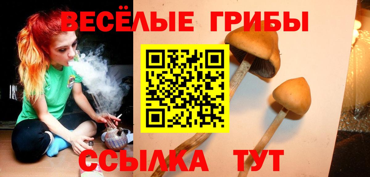 Серов  Галлюциногенные грибы GOLDEN TEACHER  Вход с VPN 